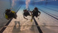 Cours plongée adultes