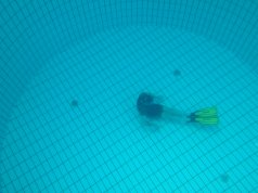 Certification apnée niveau 2