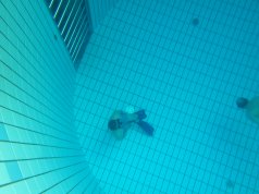 Certification apnée niveau 3