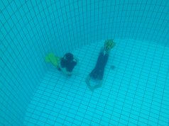 Formation apnée niveau 2 - Mantalo Club