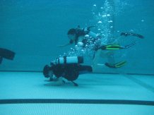 Formation plongée enfants FFESSM