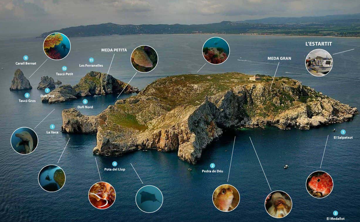 Réserve naturelle des Iles Medes - Estartit