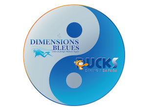 Logo Dimensions Bleues - centre plongée Safaga